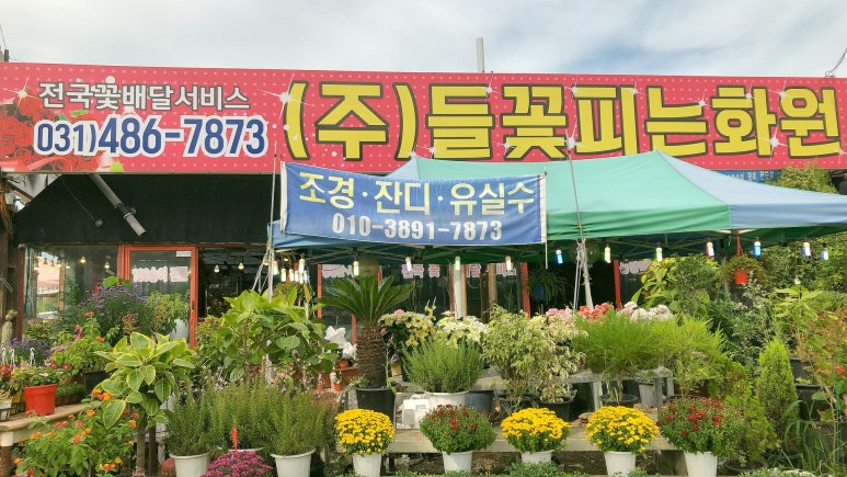 들꽃피는화원 이미지