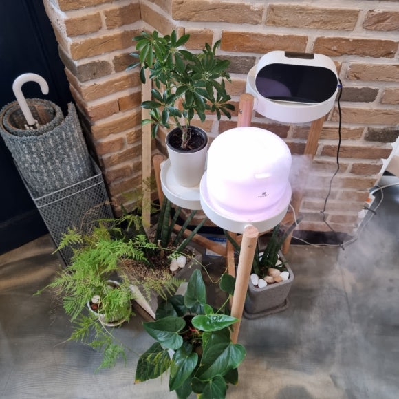 일랑일랑아로마카페 이미지
