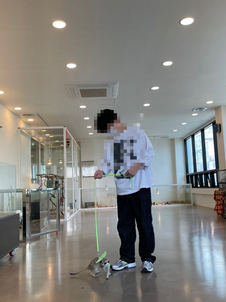 카페모들 이미지