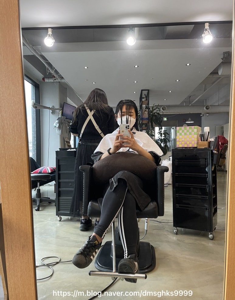 비티엔스타일 이미지