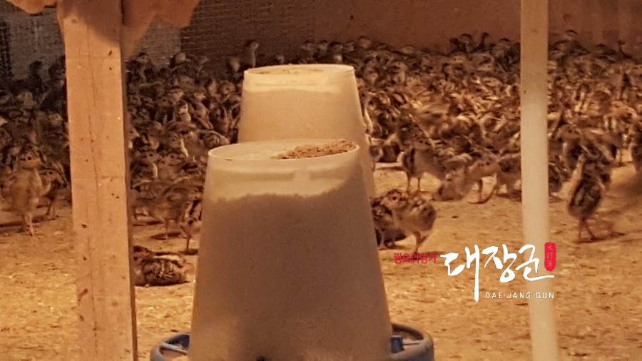 농업회사법인 통 주식회사 이미지