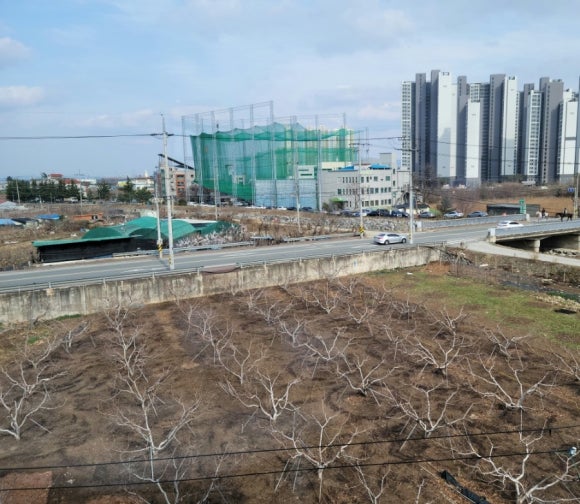일프로커피로스터스 이미지