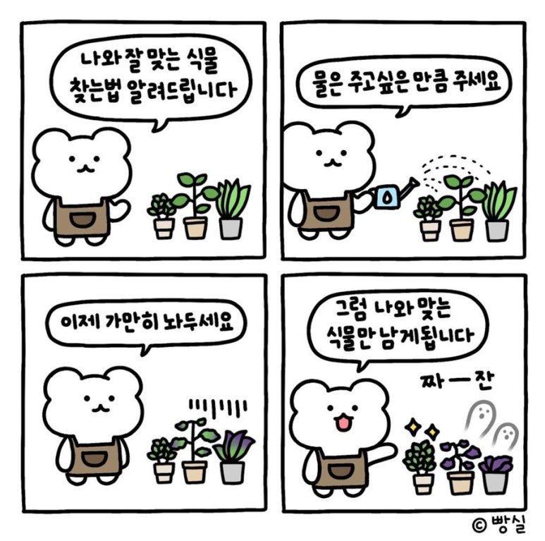테이블가드닝 이미지