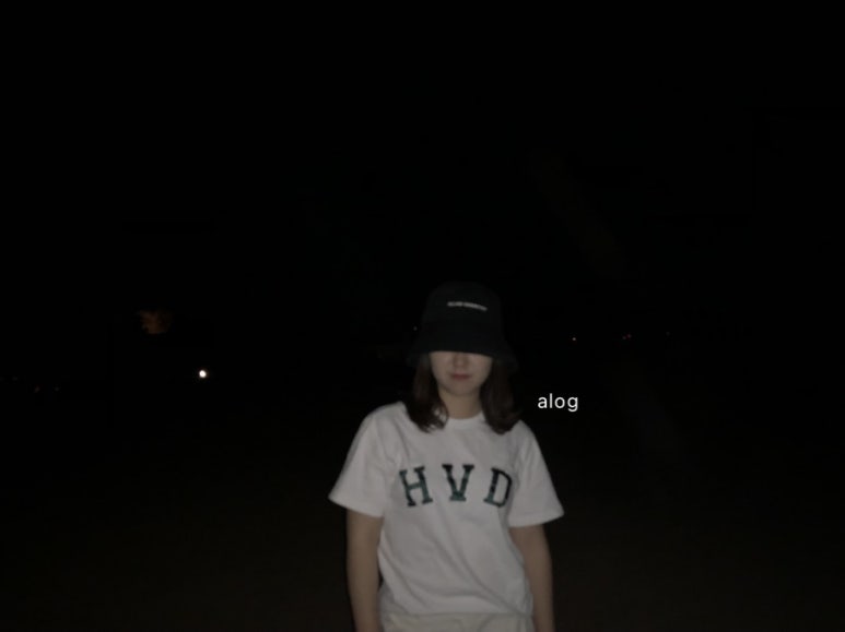 여행트리 이미지