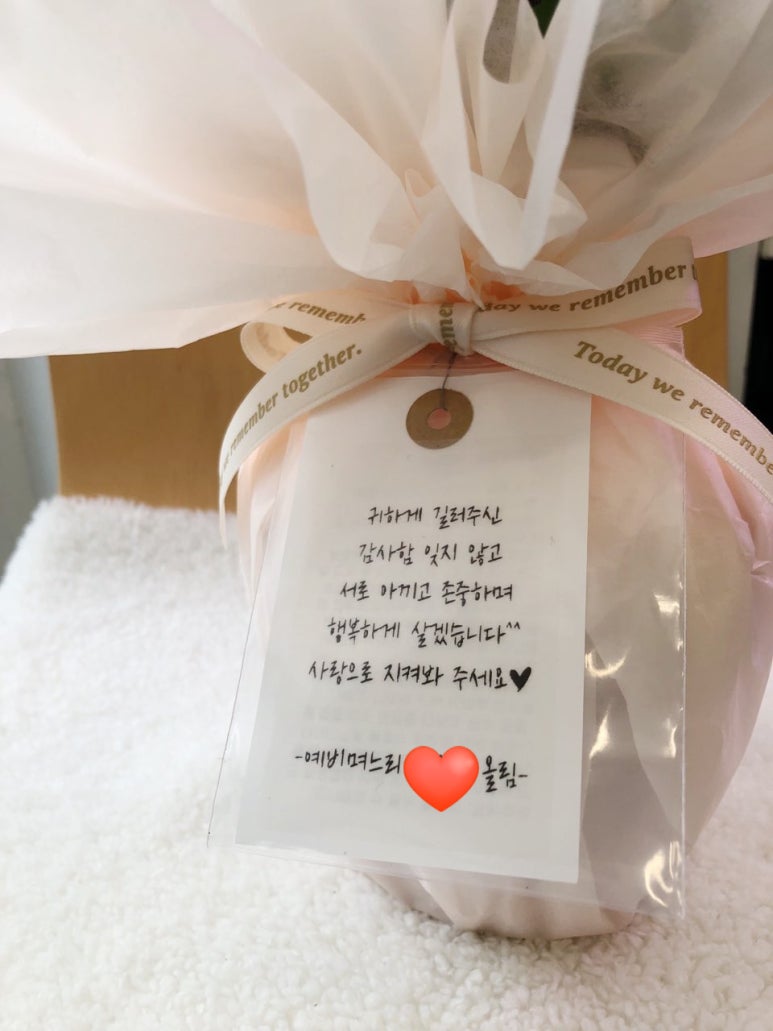 남국의파초 이미지