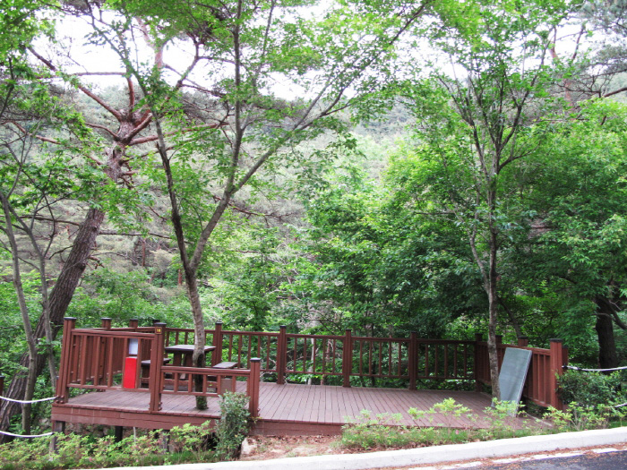 솔바람 야영장 이미지