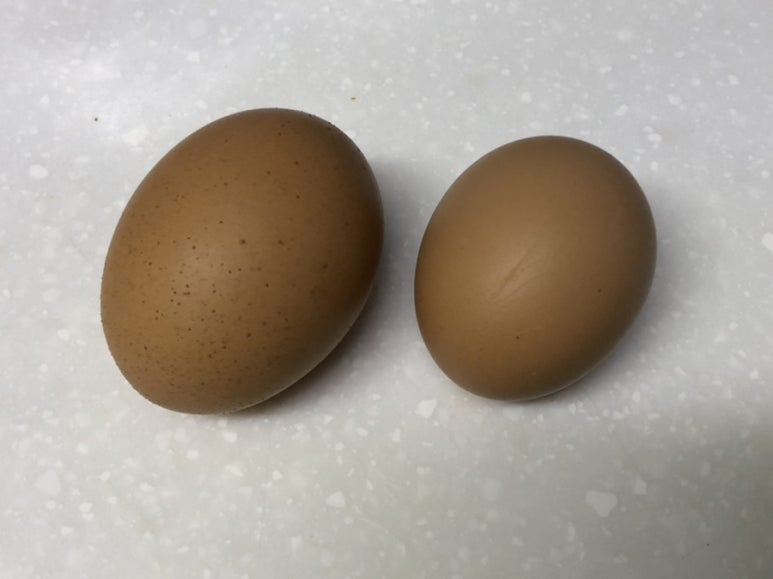 산청식육점 이미지