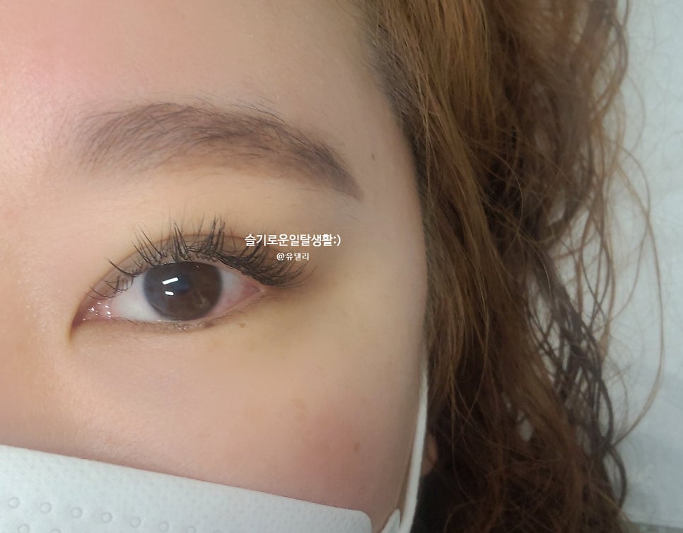 더한올(The한올) 이미지