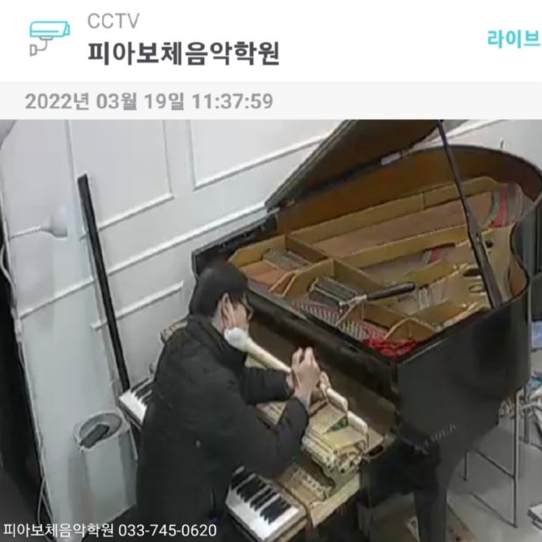 피아보체음악학원 이미지