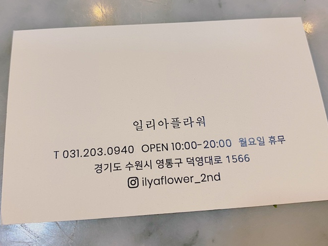일리아플라워 이미지