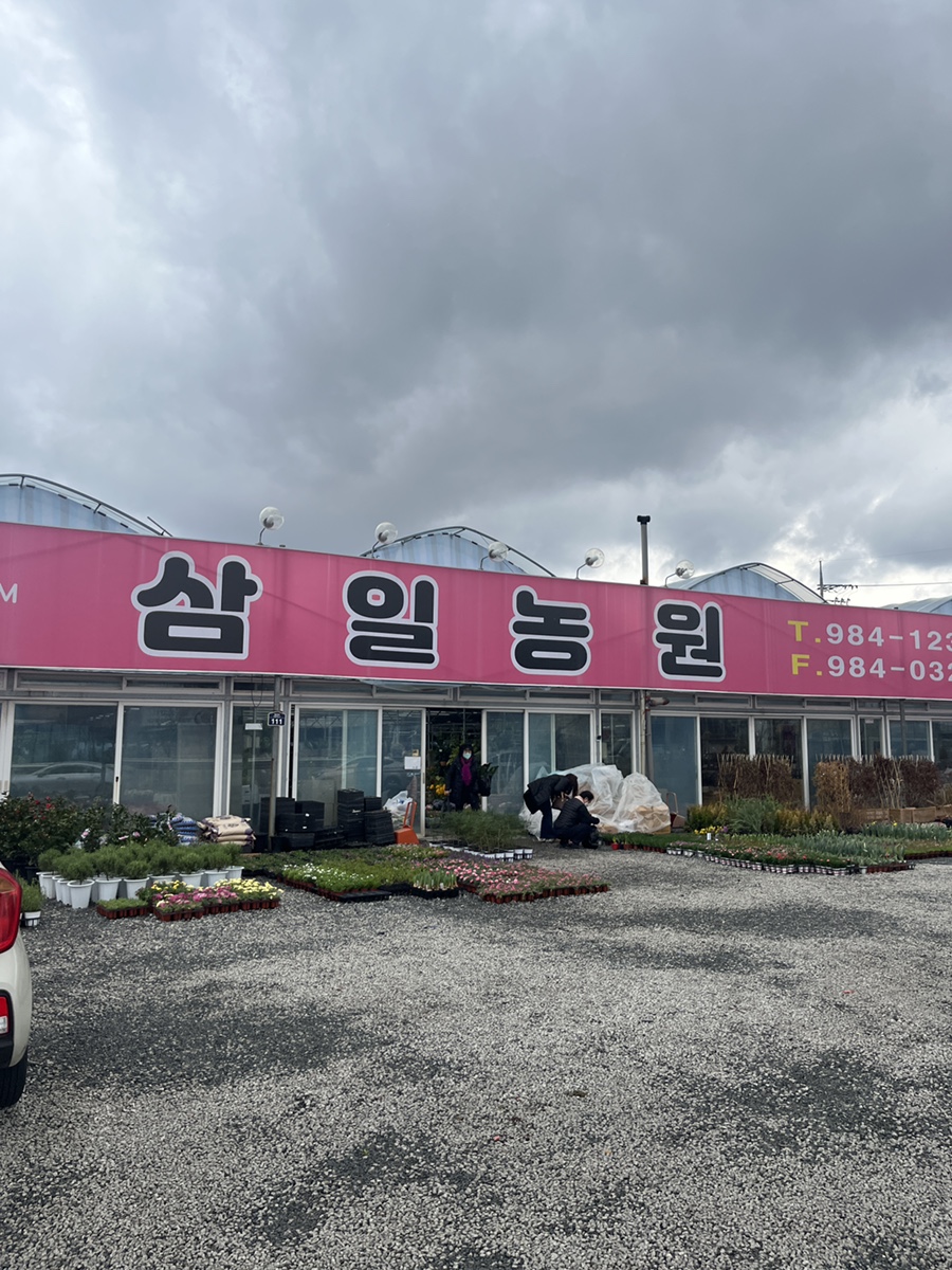 삼일농원 이미지