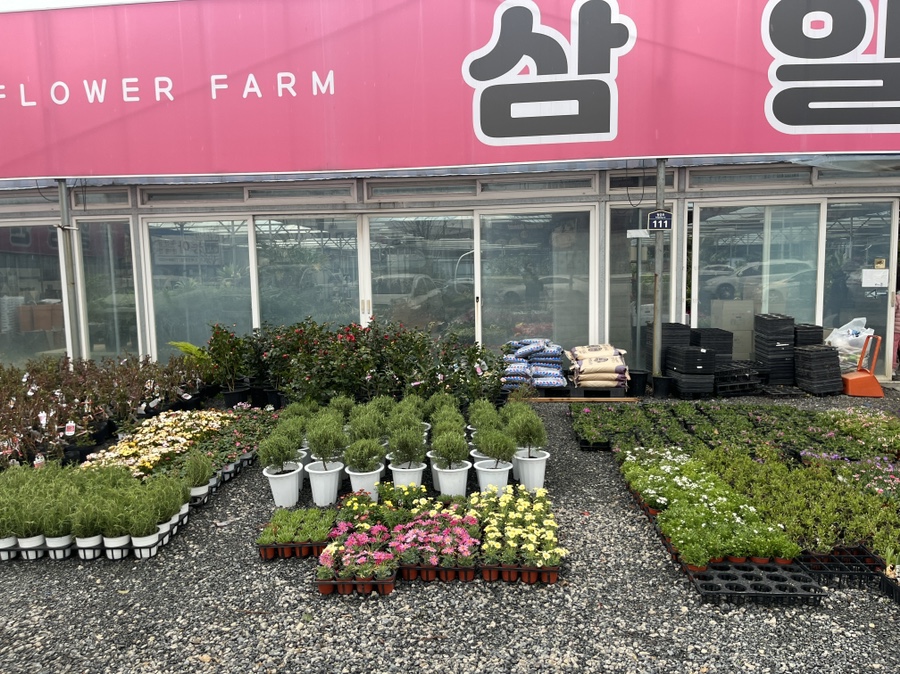 삼일농원 이미지