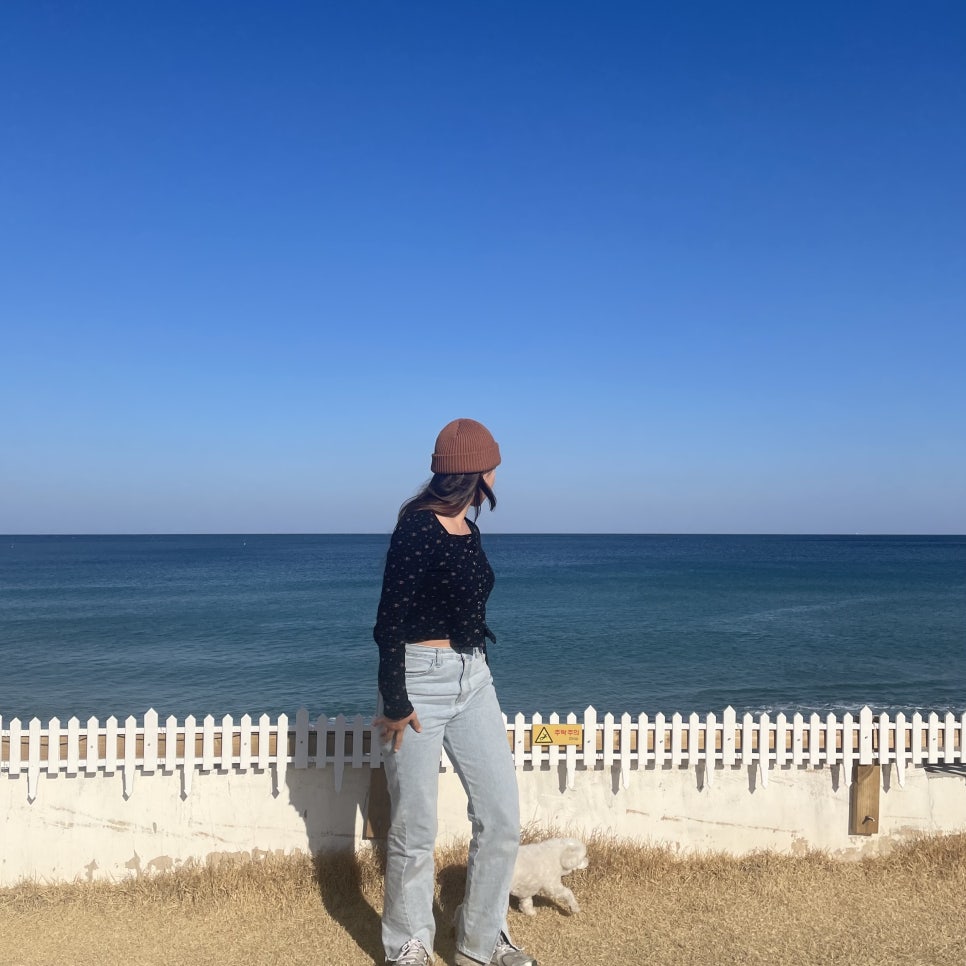 영덕아라펜션 이미지