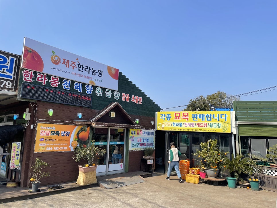 모녀농원 이미지