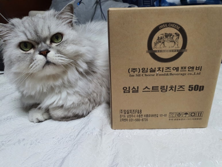 임실치즈축산업협동조합 이미지
