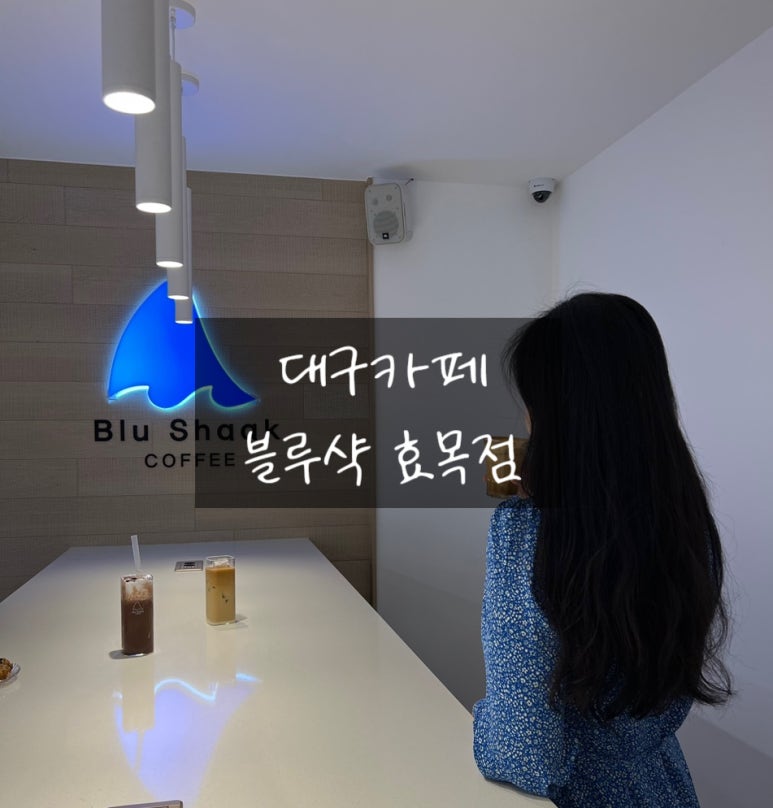 블루샥효목 이미지