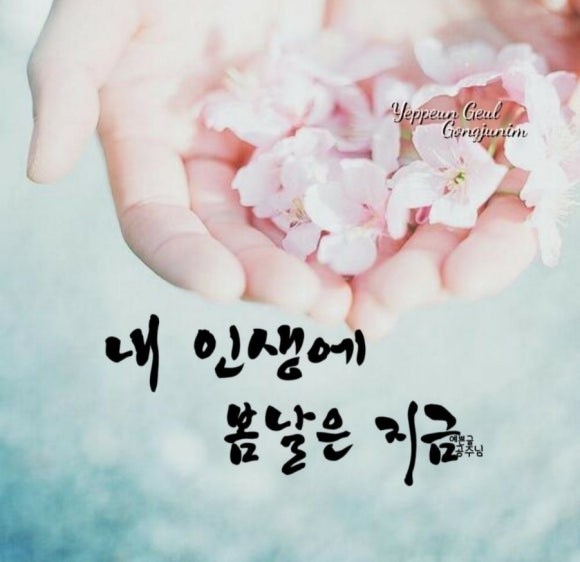 한성현콜라겐 이미지