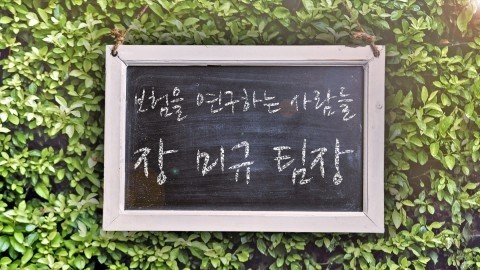 팔도어시장 이미지