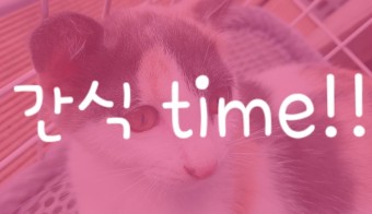 스터디플렉스강서점 이미지