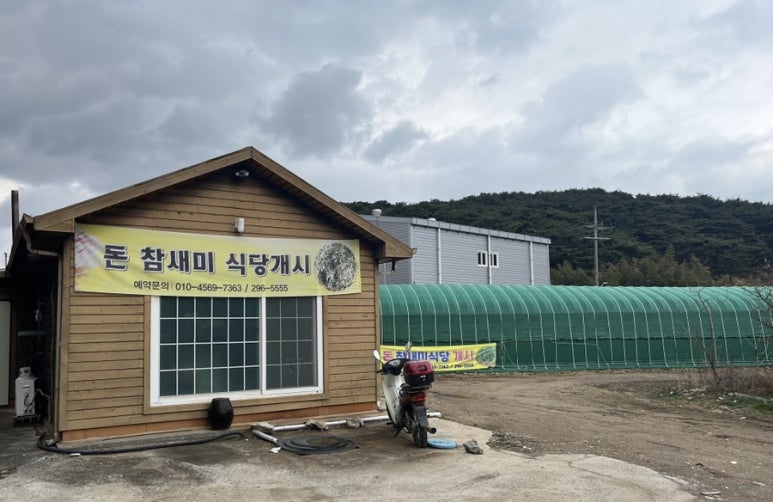 돈참새미 이미지