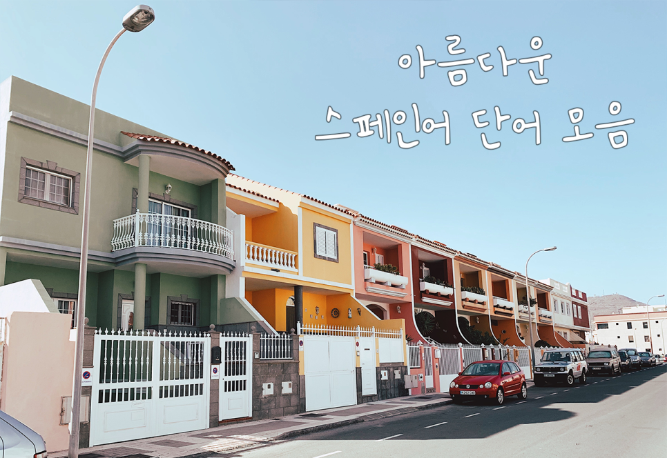루나플로르 이미지
