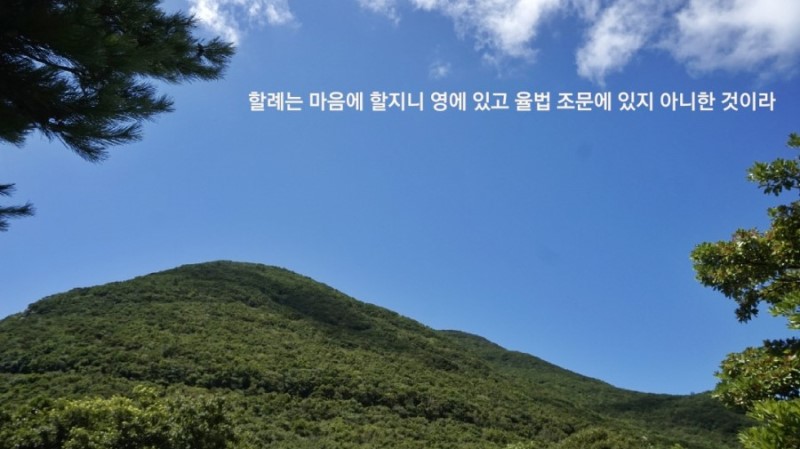 쇼맨쉽 이미지