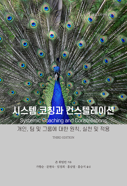 자인시스템 이미지