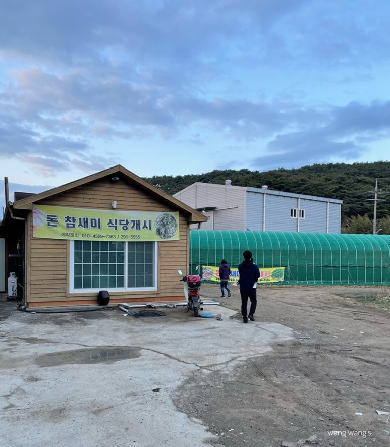돈참새미 이미지