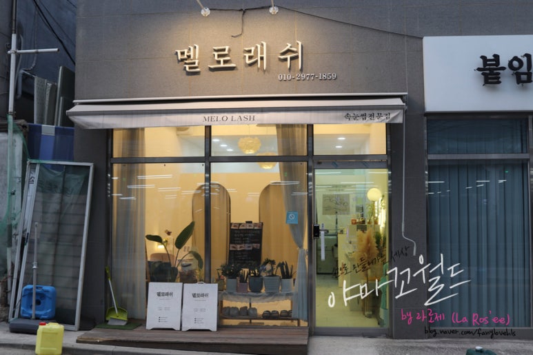 멜로래쉬 이미지