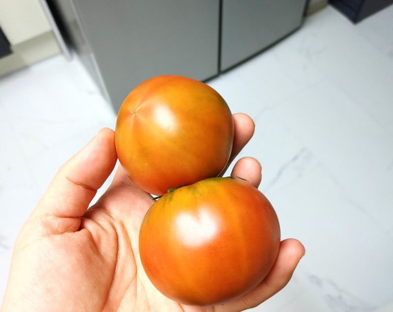 토마토마켓 이미지