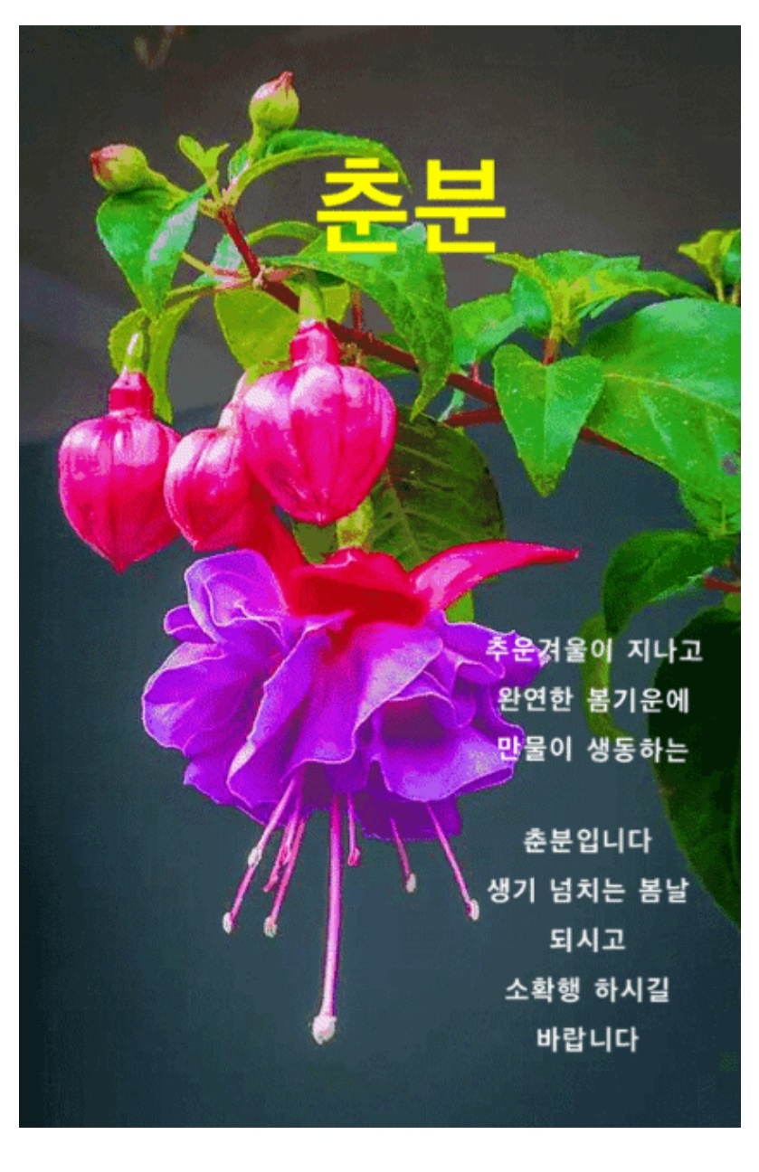 주식회사 절기 이미지