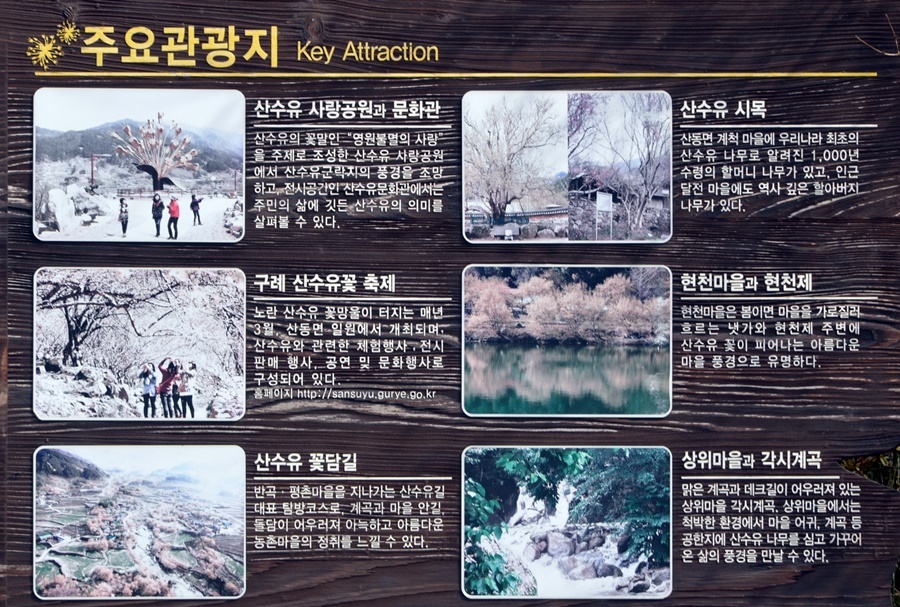 꽃잎마을 이미지