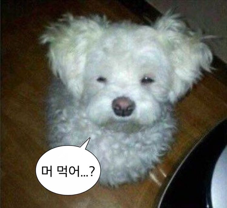 먹고마시고 이미지