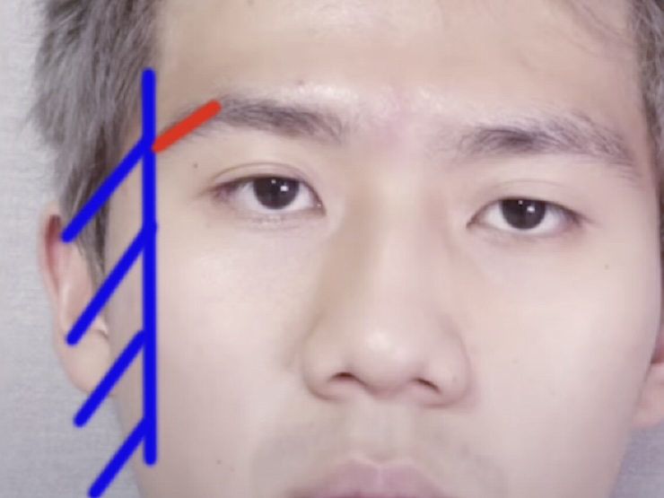 더디자인선 이미지