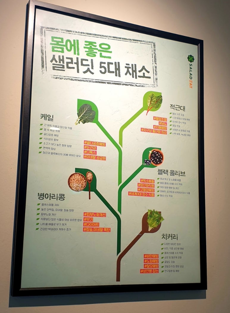 샐러딧강남 이미지