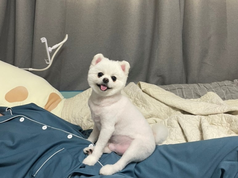 골프존파크운남홀인원 이미지