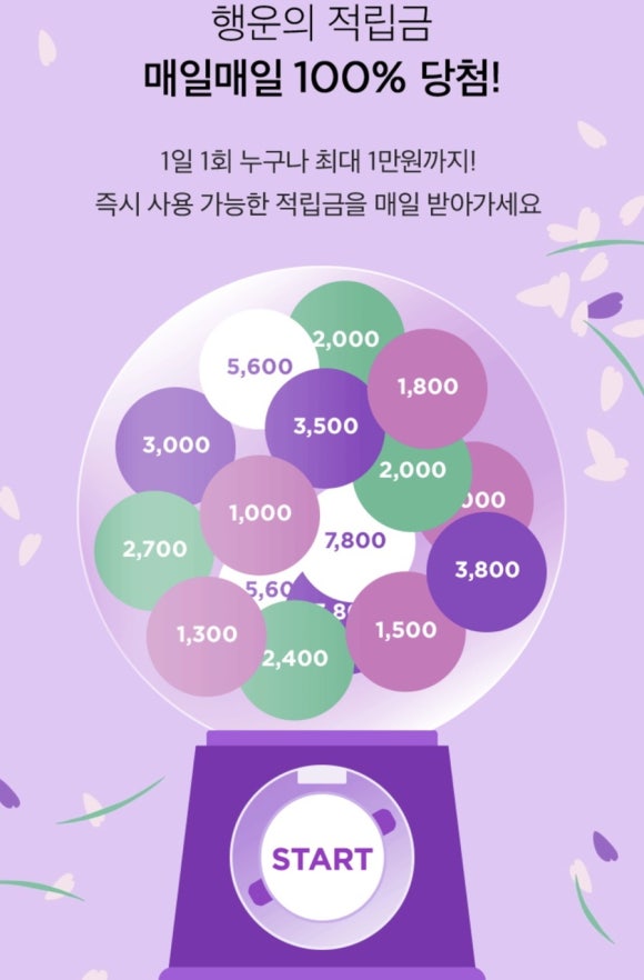 마켓무 이미지