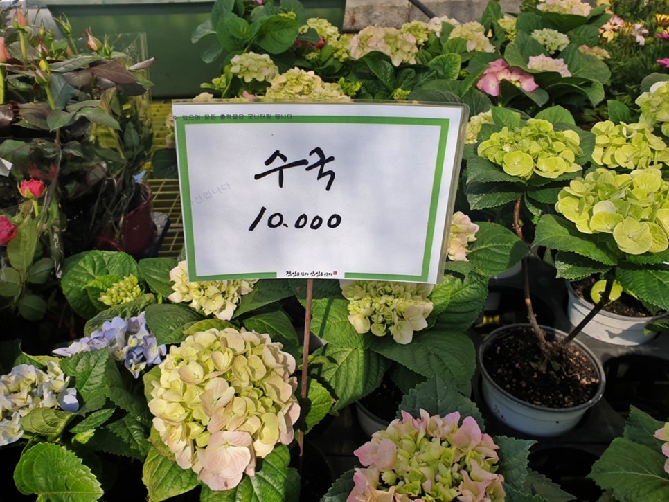 해봄장터 이미지