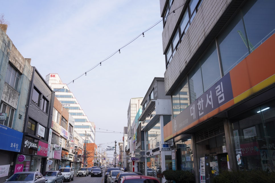 대한서림 이미지