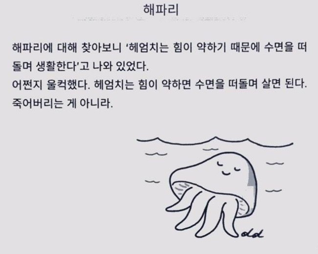 사장구매대행 이미지