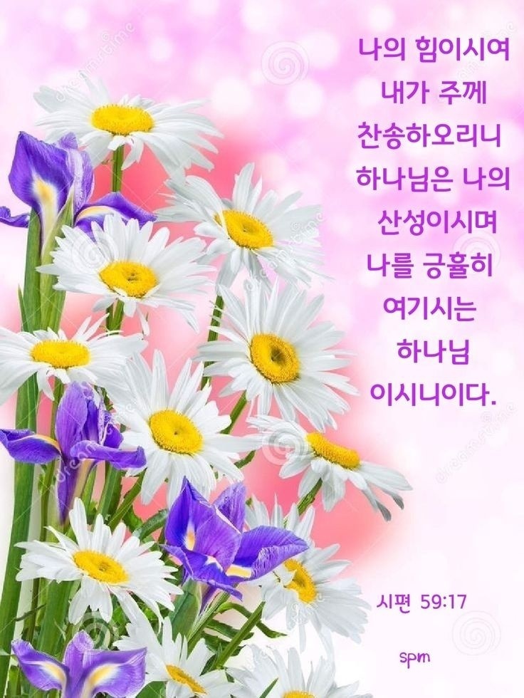 바울복사 이미지