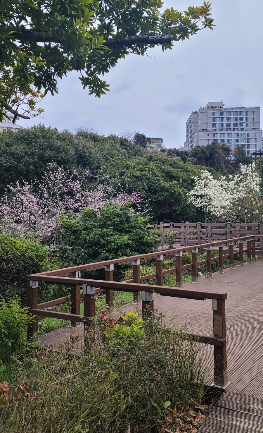 수복커피 이미지