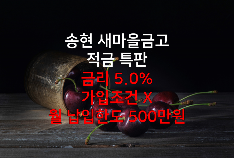 송현새마을금고 이미지