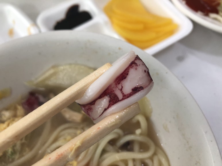번개반점 이미지