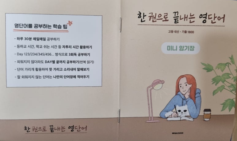 레이첼끝장영어학원 이미지