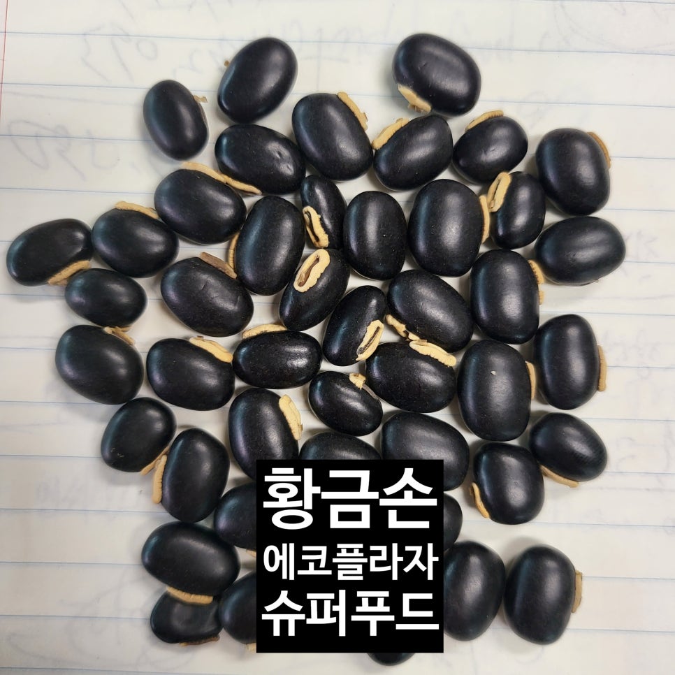 비아빈 이미지