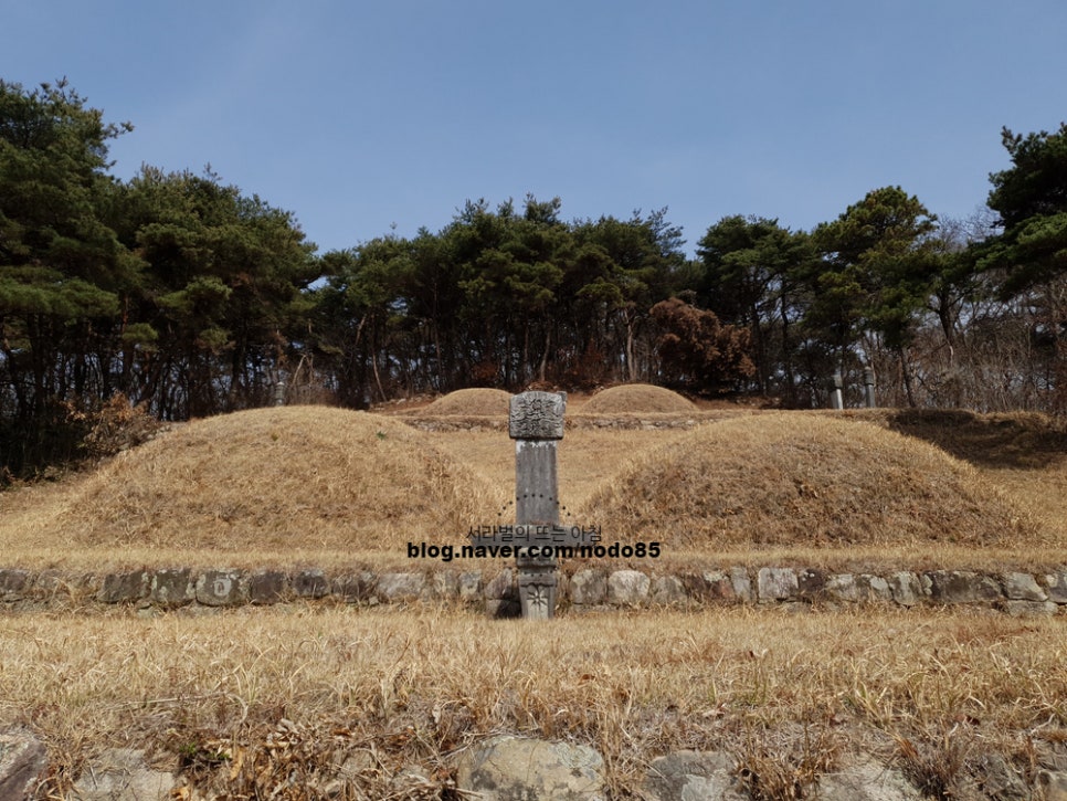 숙정씨 이미지
