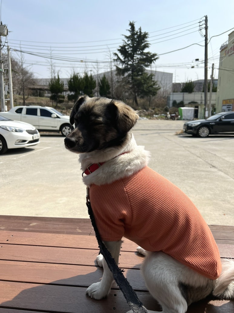 위위커피 이미지