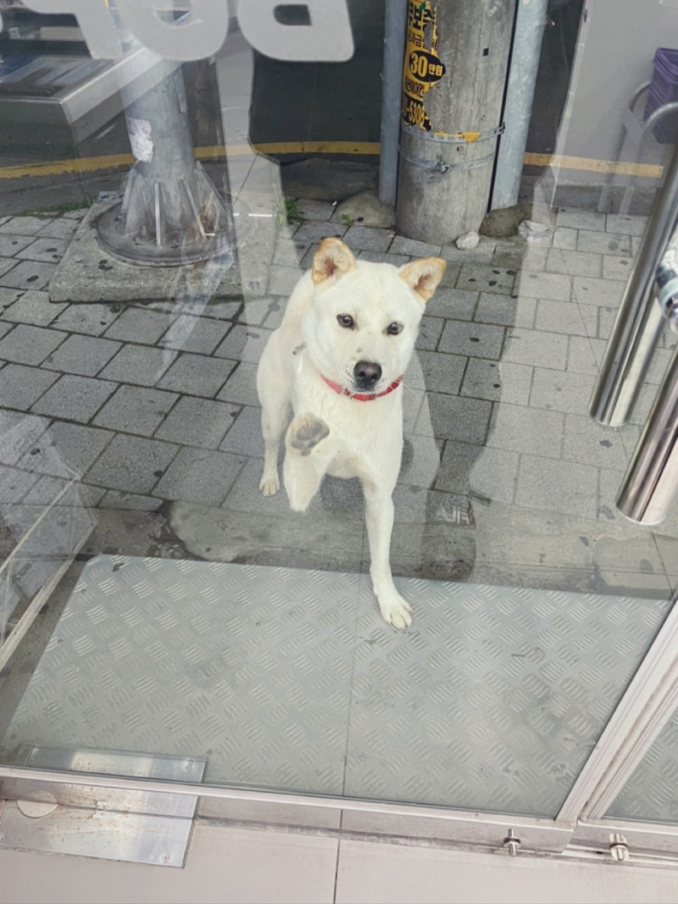 만복편의점 이미지
