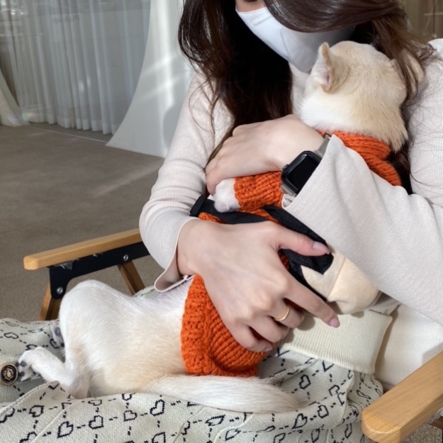 공상가옥 이미지